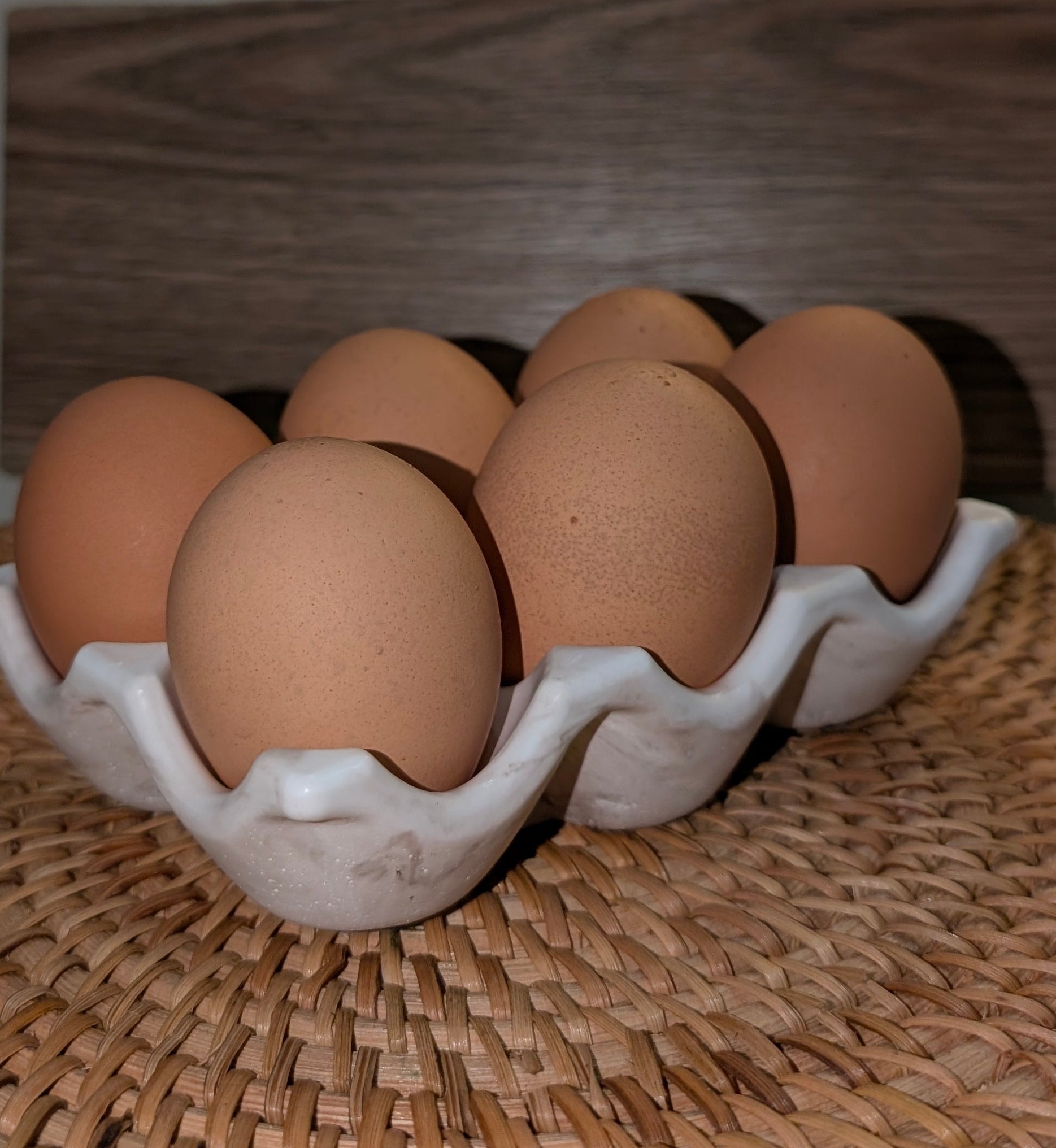 Egg Holder