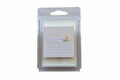 Wild Daisy Dream Waxmelt