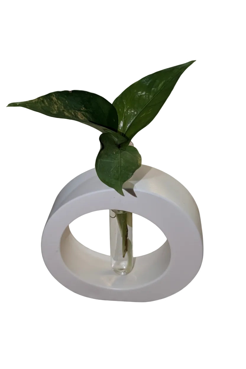 Irregular Vase
