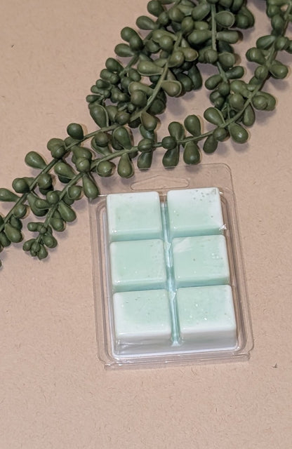 Fog and Fern Waxmelt