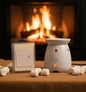 Fire Roasted Marshmallow Wax Melt