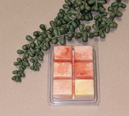 Candy Corn Waxmelt